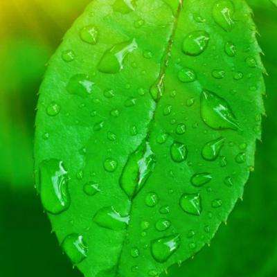 网易彩票最新版下载app